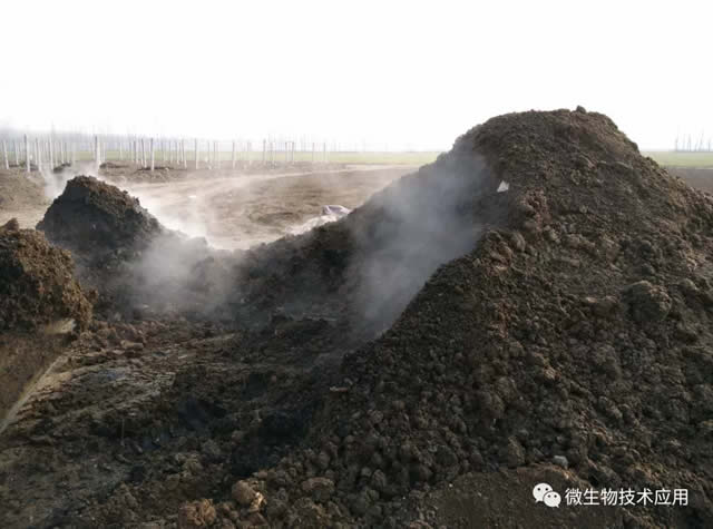 好氧发酵的微生物学发酵过程