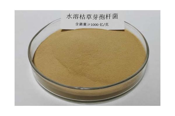 枯草芽孢杆菌（种植专用）